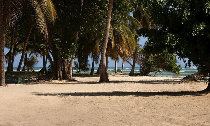 PLAGE ACCUEIL