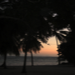 carousel_thumb
